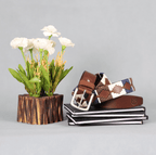Brown Polo Leather Belt with Blue, Cream, and Brown Stitching & Silver Buckle